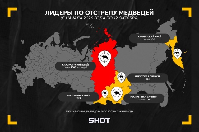 Уже более 4 тысяч медведей отстрелили в России с начала 2026 года