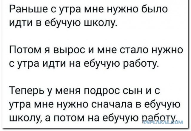 Веселые картинки в пятницу (23.10)