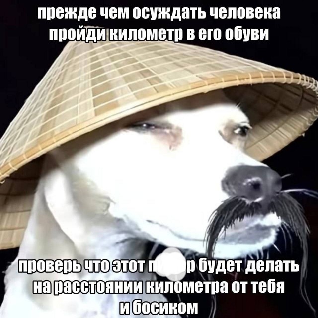 Картинки для деградации 309 (разной степени свежести)