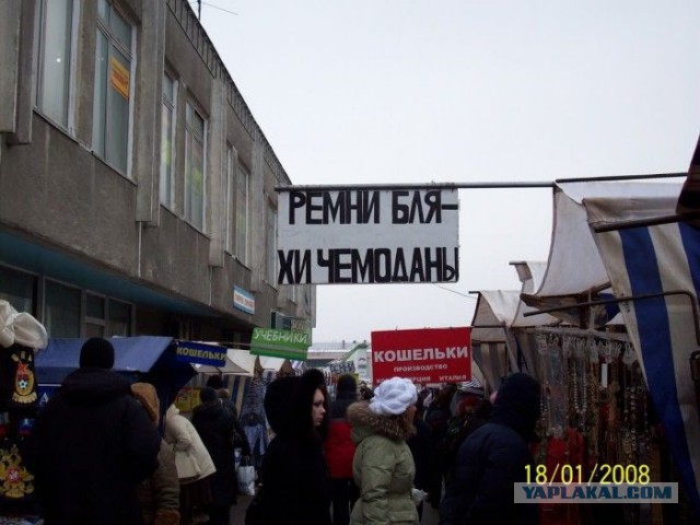 Подборочка маразмиков