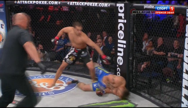 БОКС/MMA....