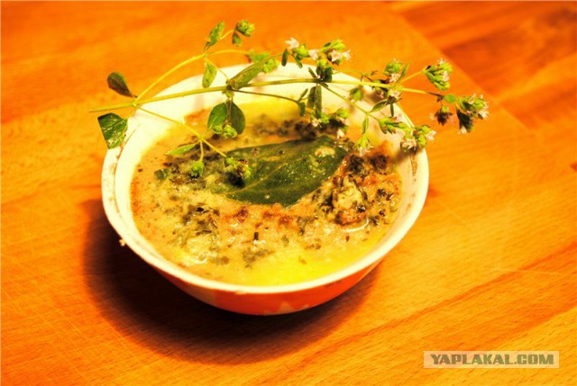 Коммунальные замУтки