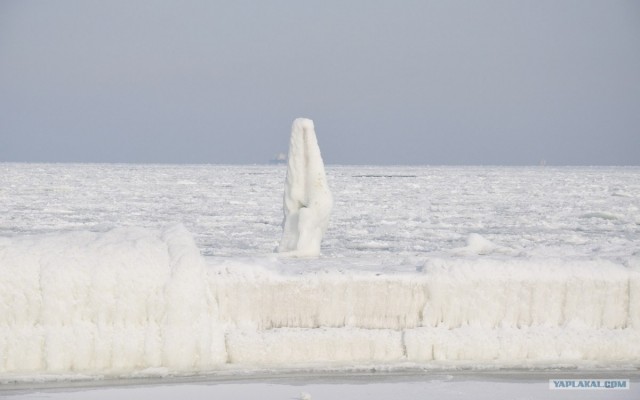 Черное море... замерзло!