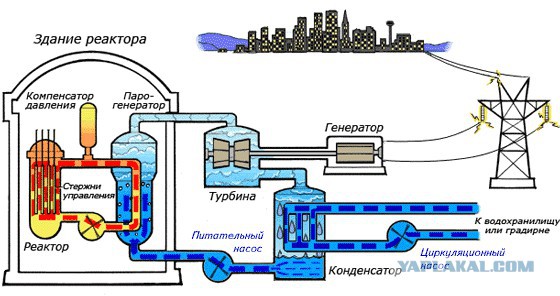 Большая подборка научных картинок и гифок