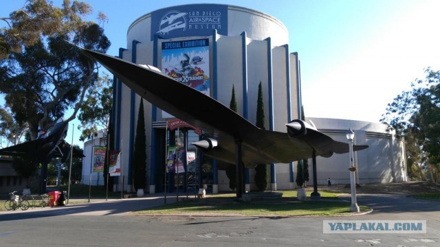 Охота за «Чёрным Дроздом»