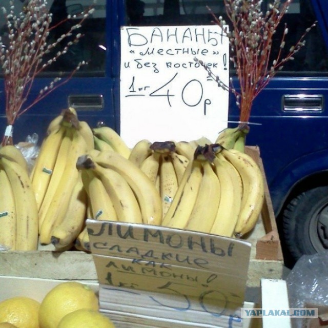 Российский рынок: бессмысленный и беспощадный