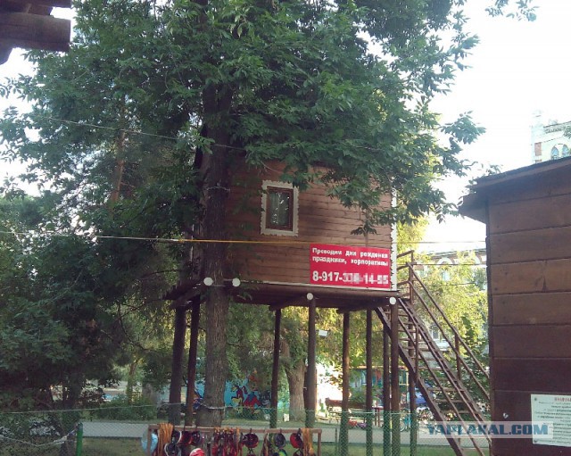 Ассорти картинок из сети