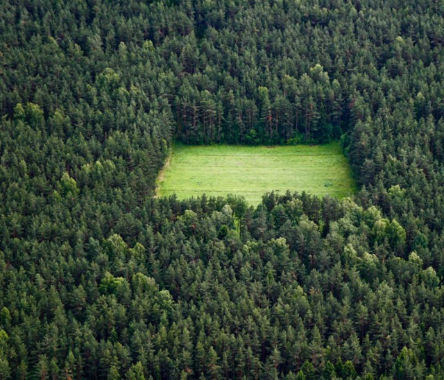 Фотожаба: Секретная полянка в лесу