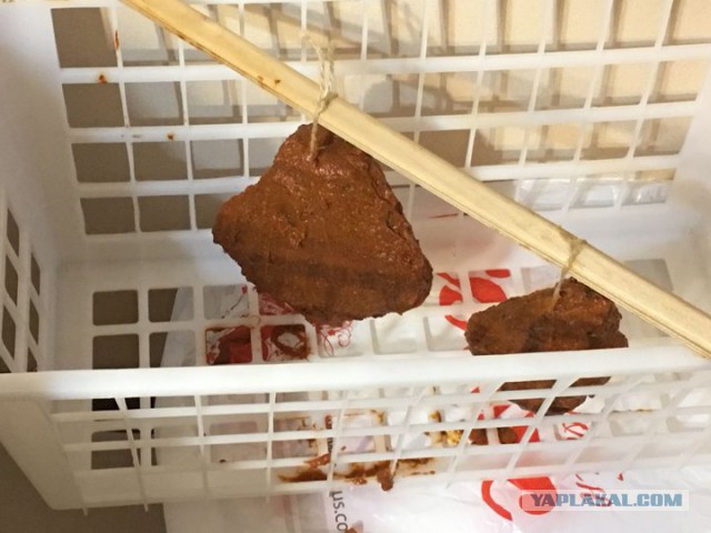 Домашнее сыровяленое мясо. Лосятина, телятина.