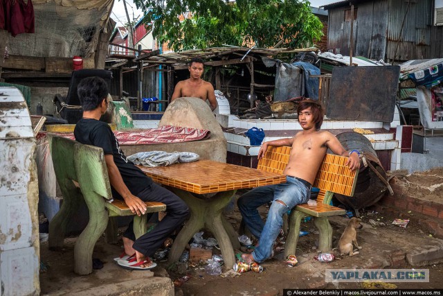 Кладбищенская принцесса: история девушки, живущей среди могил
