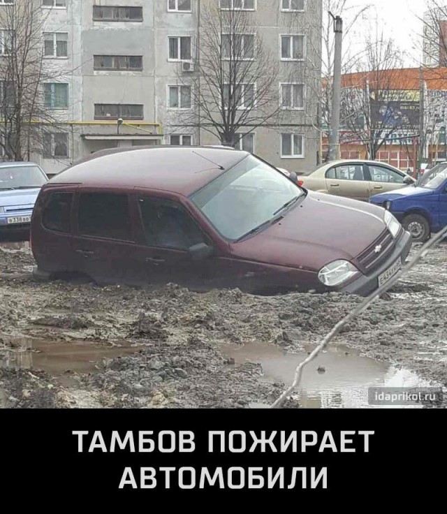 Школьница провалилась в самую глубокую лужу в Томской области
