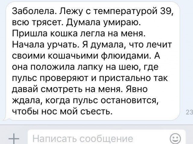 Фотоподборка в стиле "когда тебе не везет и как с этим бороться"