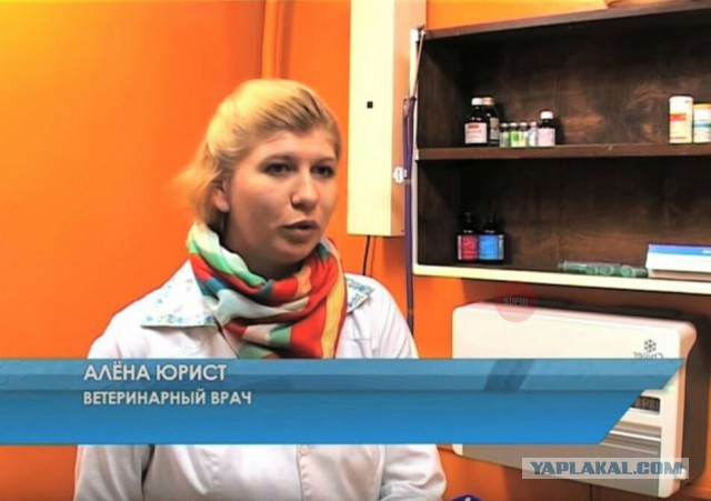 20 твитов с черным юмором от тех, кому все надоело