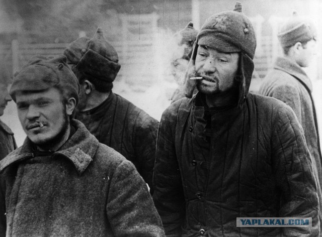 Геббельс был бы доволен