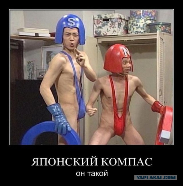 Эти безумные японские ТВ-шоу