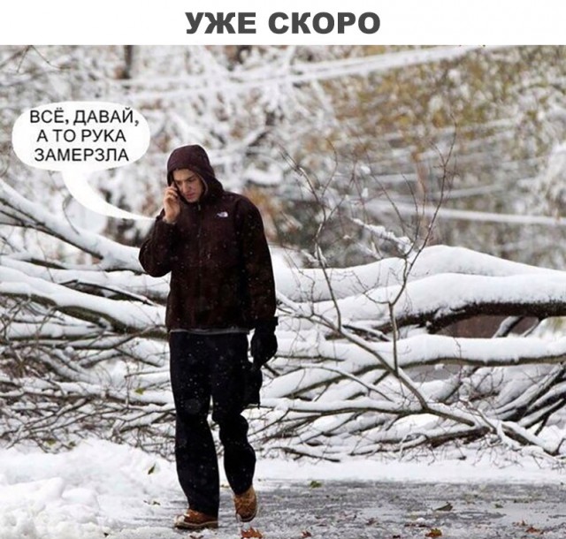 Подборка интересных и веселых картинок