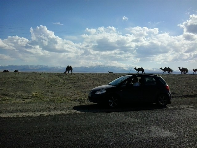 Гейзерное озеро! Республика Алтай, Улаганский район, село Акташ