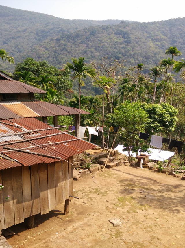 К живым мостам и обратно. Заметки из Индии