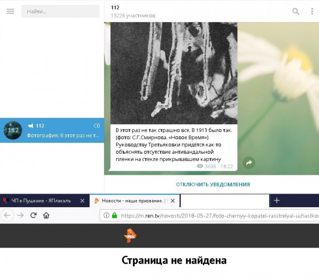 ЧП в Пушкине
