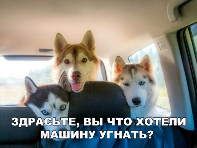 Нестандартный юмор