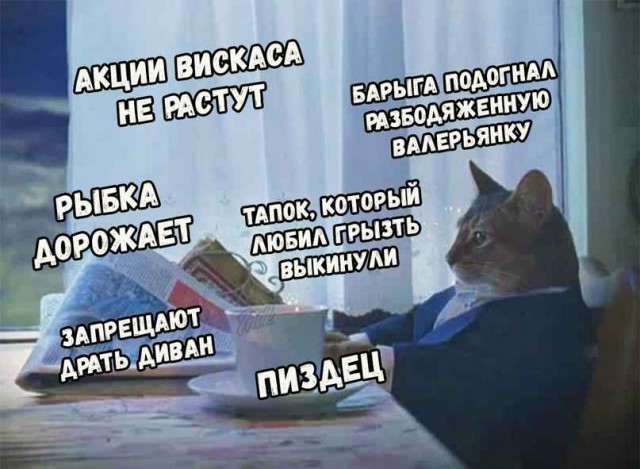 Нет времени ждать пятницу - деградируем здесь и сейчас