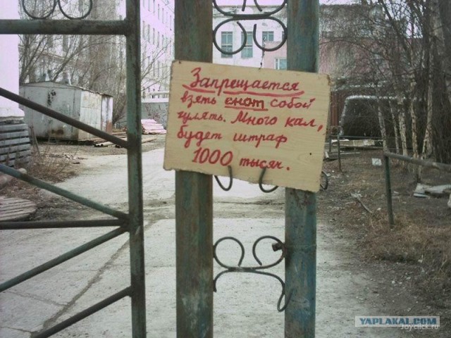 отдай камеру, а?