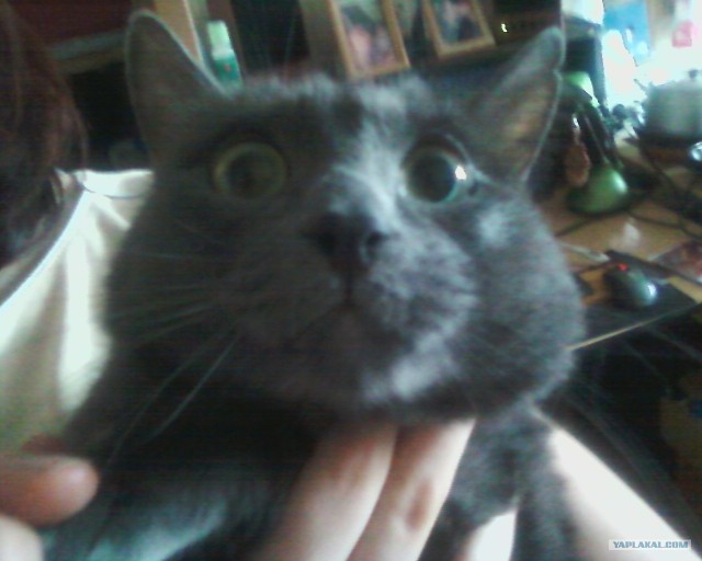 КОТовторник 13.04.2010г.