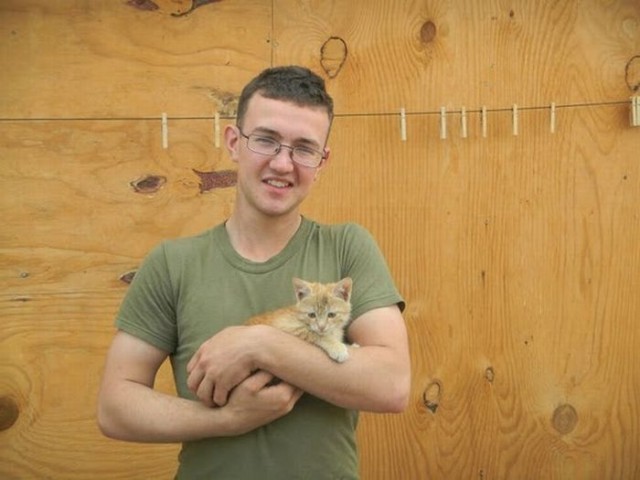 Трофейные котята