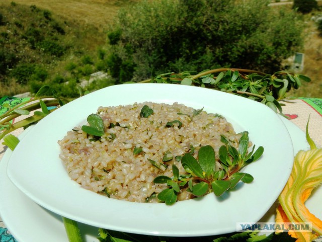 Каша с дандуром и красным вином