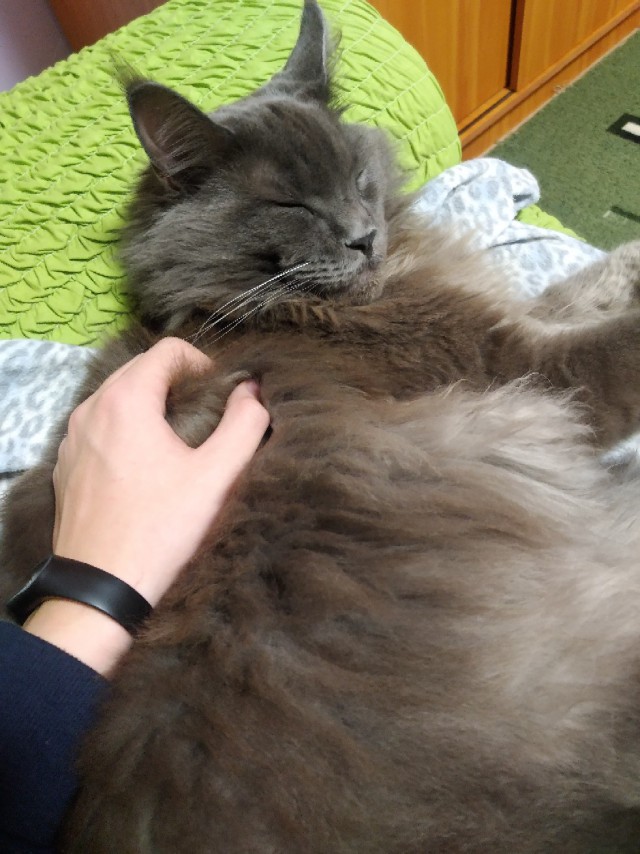 Немного милоты