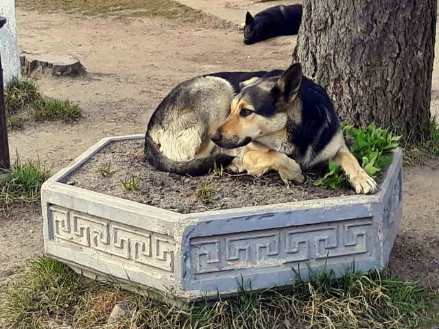 Спорим, вы не знали...