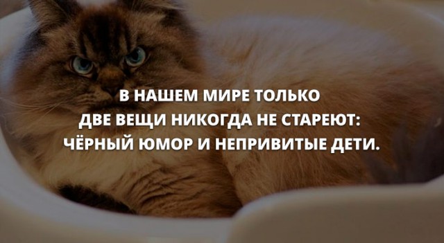 Анекдоты для позитива