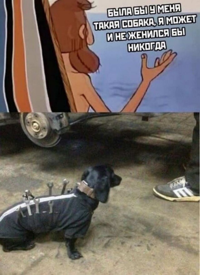 Бредзона 20.04.2020