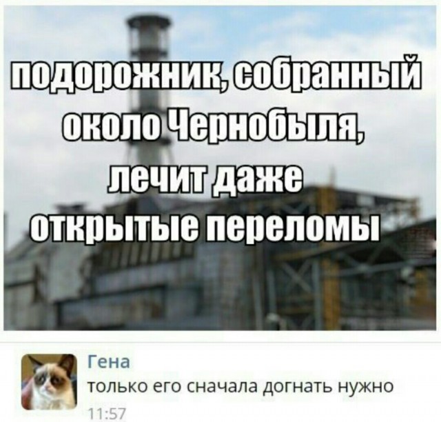 Маслину поймал