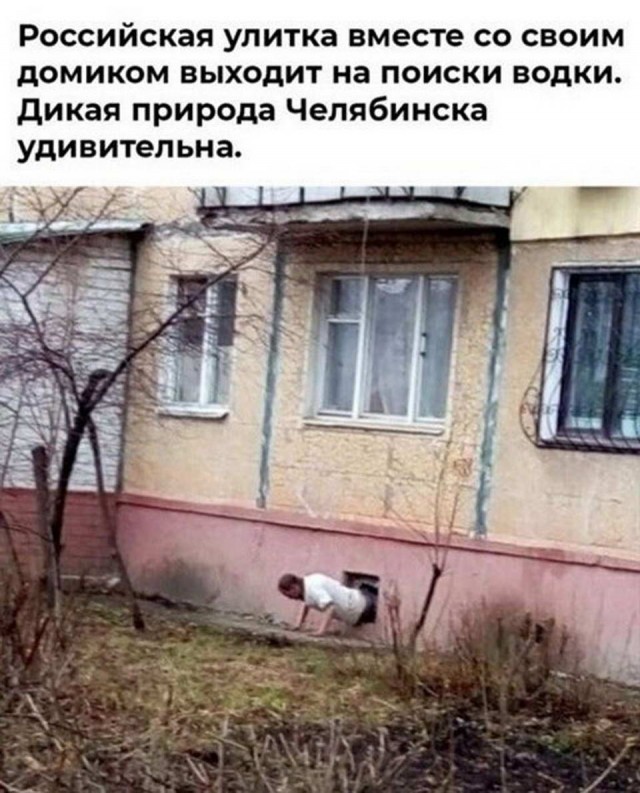 Алкопост