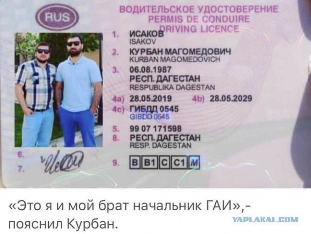 Звонок другу: в Березовском гаишник отпустил водителя после разговора по телефону