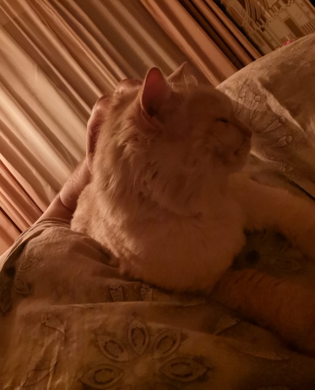Подборка душевных фотографий, которые восполнят нехватку добра