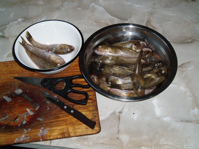 Пятничные посиделки на теплотрассе ©