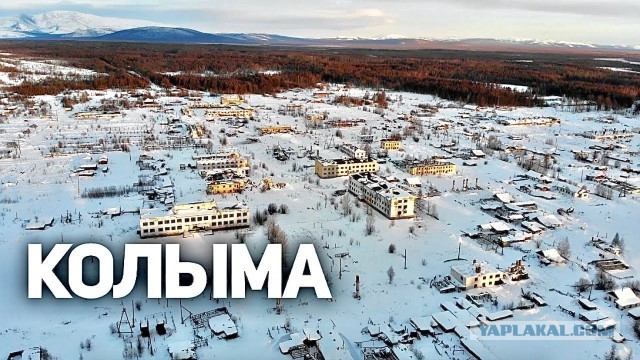 "Эта пенсия меня доканала!"