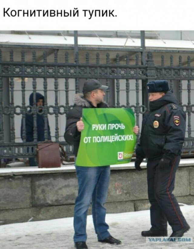 Всякие картинки,  но больше куаркодная и политота