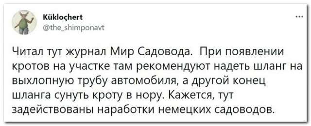 Забавные комментарии из социальных сетей 21.02.22