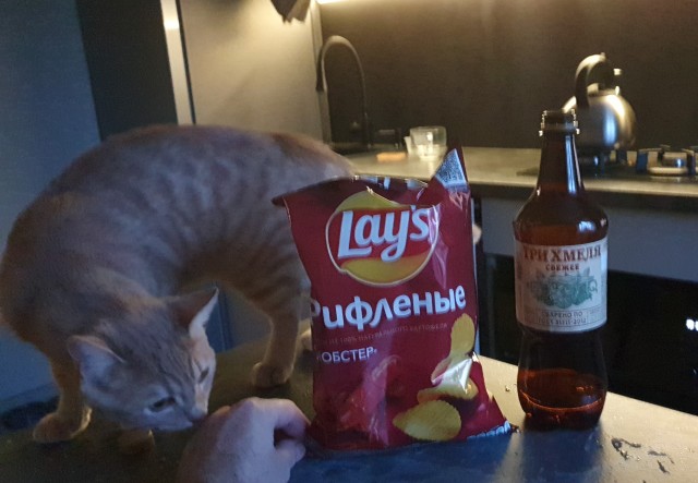 Ну, ЯП, бухнём!