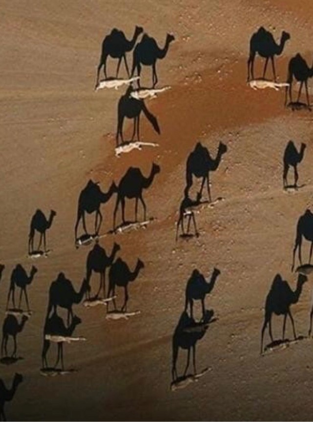Лучшая фотография года