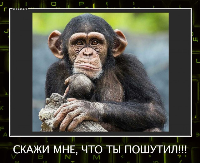 Озабоченным моим достоинством эта тема..(Пашкетт)