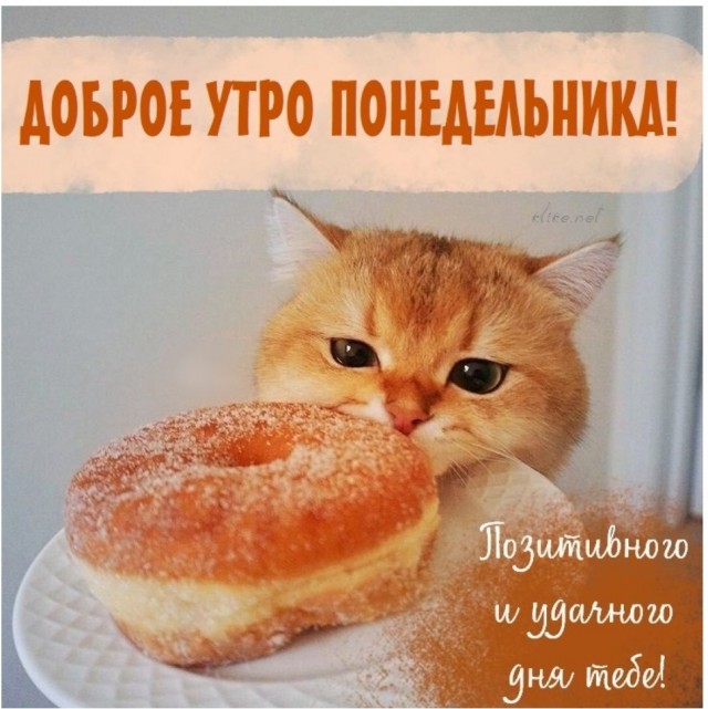Женщины не догадываются, что они не вечные