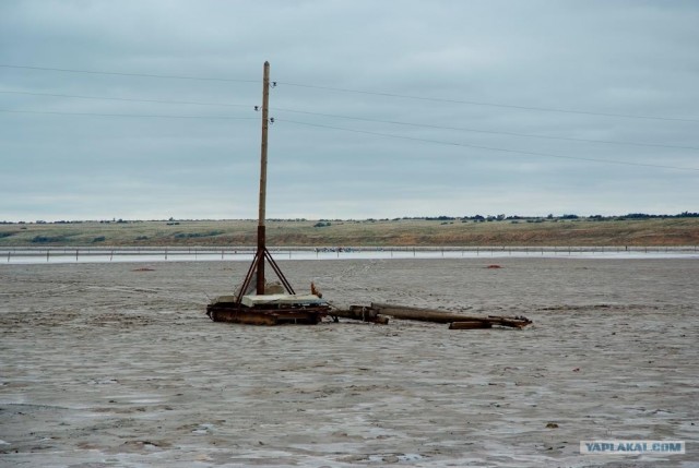 Вот в чем вся соль!