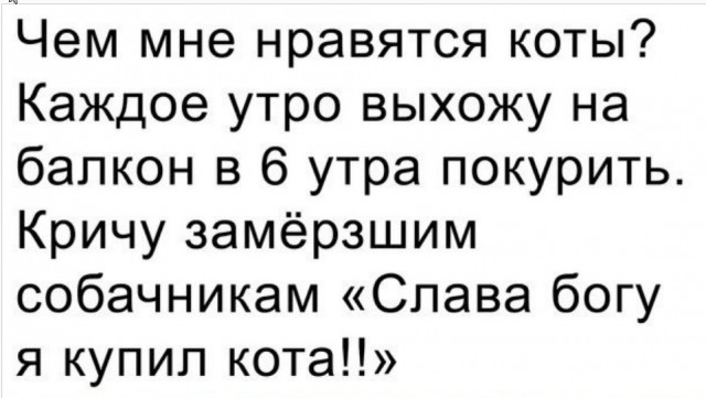 Скриншоты и комментарии из социальных сетей 1.10.22