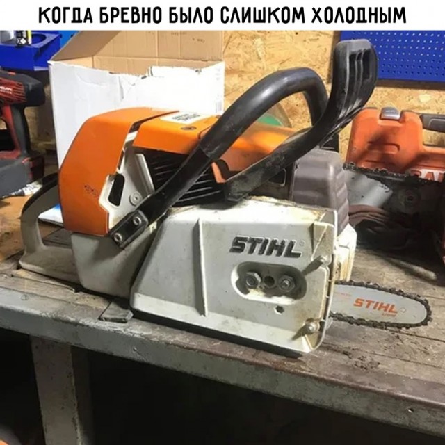 Весёлый полтишок 02.11.22
