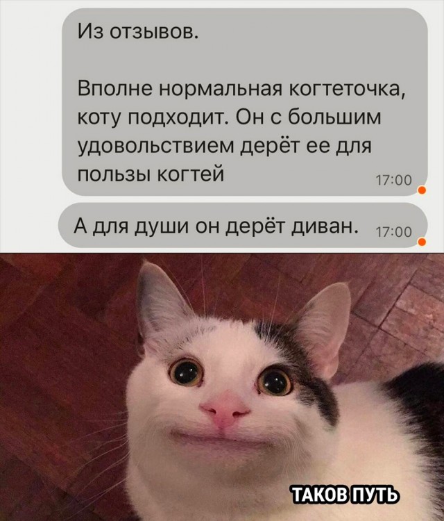Так себе картинки 24.12.22