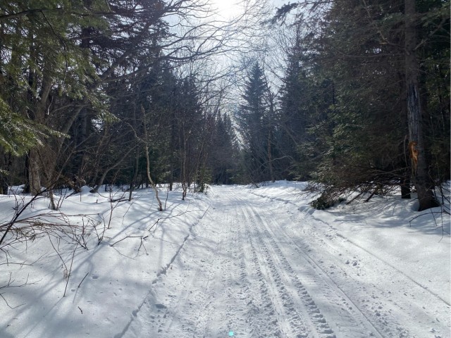Праздники